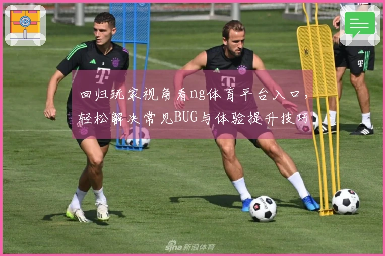 回归玩家视角看ng体育平台入口，轻松解决常见BUG与体验提升技巧