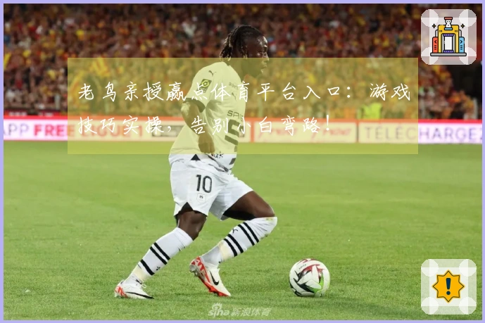 老鸟亲授赢点体育平台入口：游戏技巧实操，告别小白弯路！
